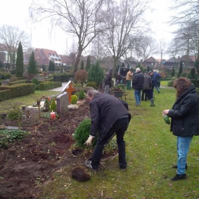 Die Hecke wird entfernt