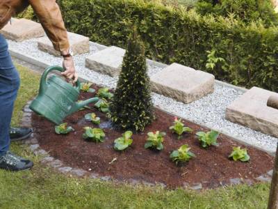 gepflanzte Blumen werden angegossen