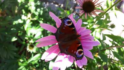 Motiv 2 Platz 2 Nadine Schomakers