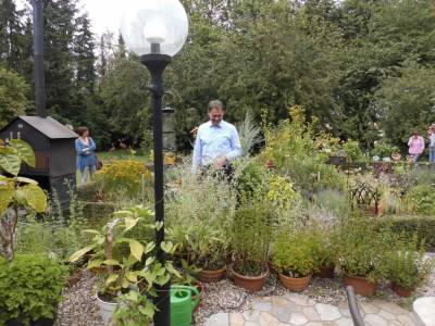 Sammlung von 30 verschiedenen Minzarten mit verschiedensten Duftnoten und Wirkungen