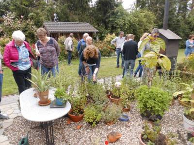 Anlage mit Pflanzen aus Warmgebieten,Sukkulenten, Palmen ect.