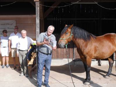 Interessiert das Programm auch die Pferde?
