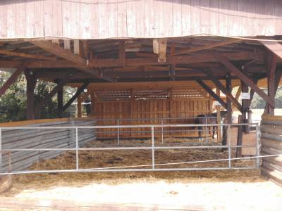 Raufe fr die Seniorengruppe