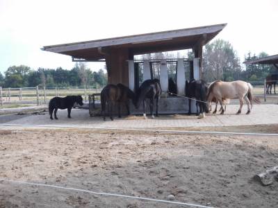 weitere Futterraufe fr eine andere Gruppe