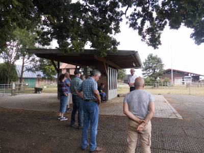 Infos zur Geschichte der Hofstelle seit 1480