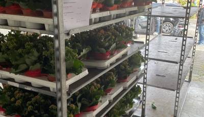 Der erste Transportrolli ist umgeladen zur Auslieferung